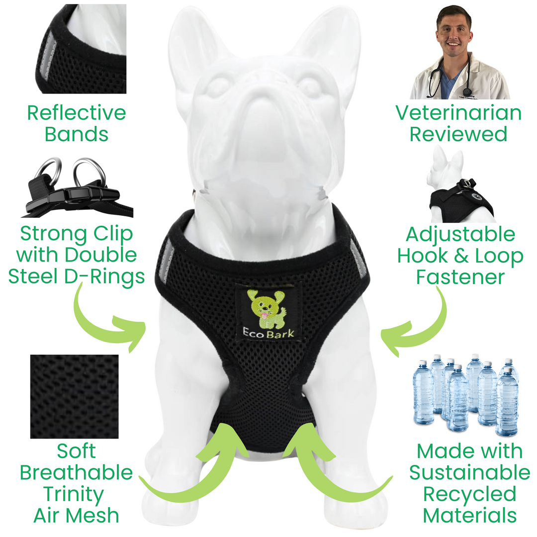 EcoBark Black Step In Dog Harness - Reflective Soft Mesh Harness for Teacup, Small Dogs and Puppies