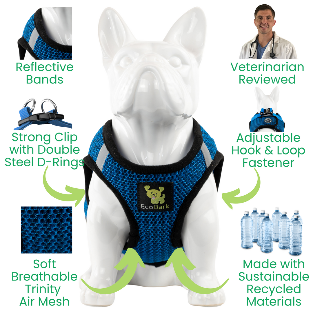 EcoBark Bright Blue Step In Dog Harness Sport- Rapid Fastener Reflective Soft Mesh Dog Vest Halter for XXXS to Small Dogs