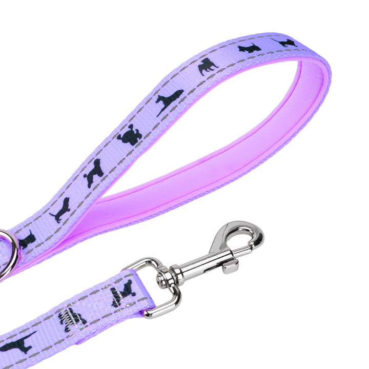 EcoBark Lavender Dog Leash - Comfort Grip Padded Leash - 4ft, 5ft, and 6ft for Small and Medium Dogs