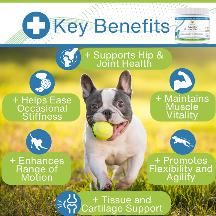 EcoBark Adaptiflex™  Hip and Joint Supplement for Dogs with Glucosamine, Chondroitin, and MSM