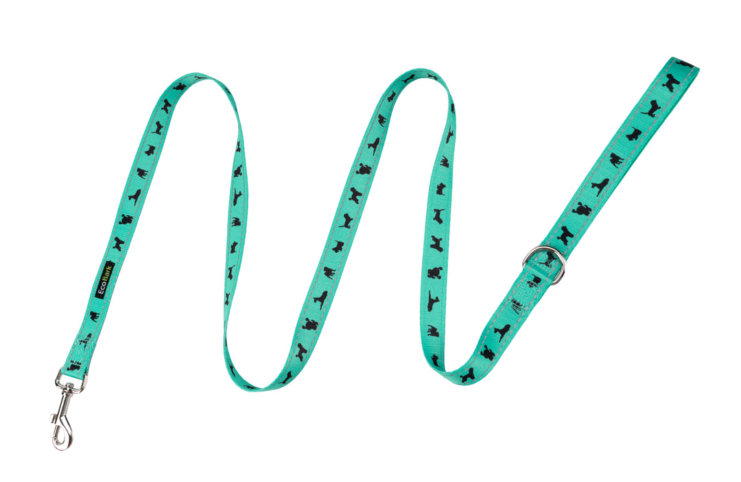 EcoBark Mint Turquoise Dog Leash - Comfort Grip Padded Leash - 4ft, 5ft, and 6ft Dog Leash for Small and Medium Dogs