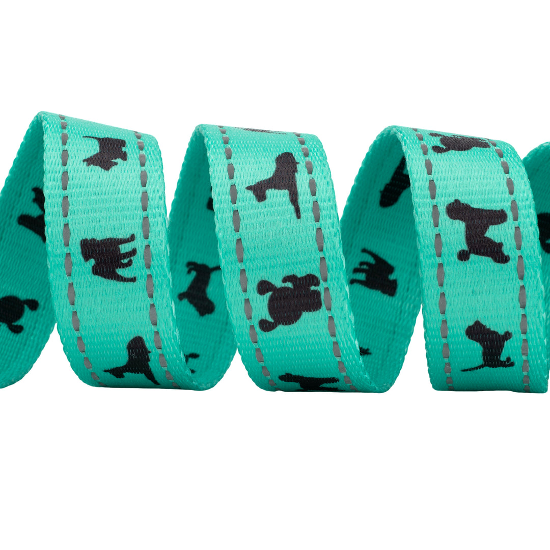 EcoBark Mint Turquoise Dog Leash - Comfort Grip Padded Leash - 4ft, 5ft, and 6ft Dog Leash for Small and Medium Dogs