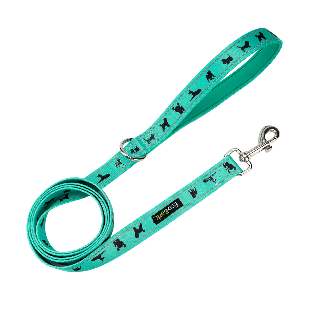 EcoBark Mint Turquoise Dog Leash - Comfort Grip Padded Leash - 4ft, 5ft, and 6ft Dog Leash for Small and Medium Dogs