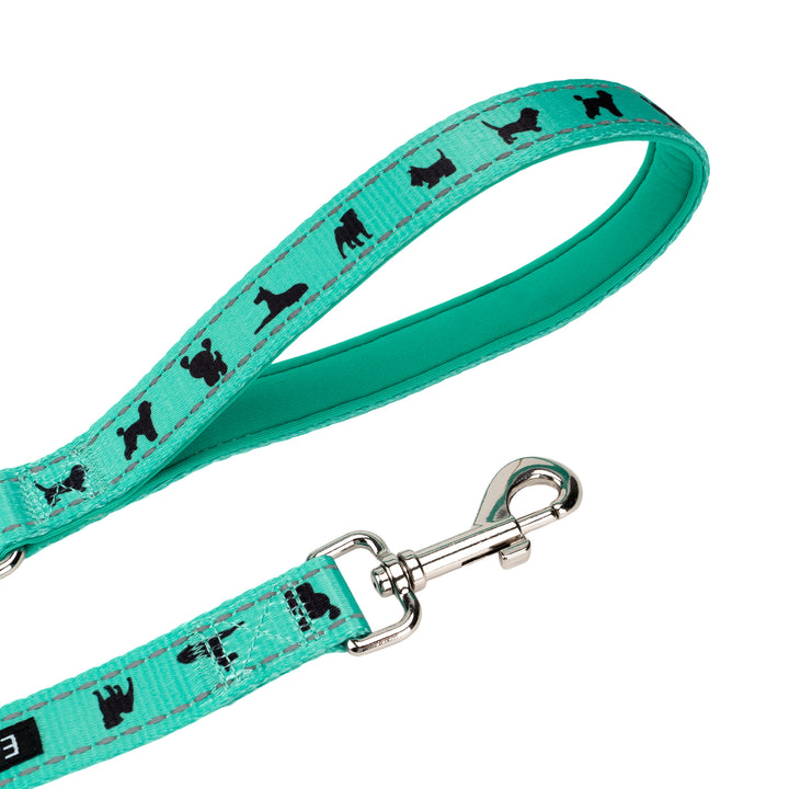 EcoBark Mint Turquoise Dog Leash - Comfort Grip Padded Leash - 4ft, 5ft, and 6ft Dog Leash for Small and Medium Dogs