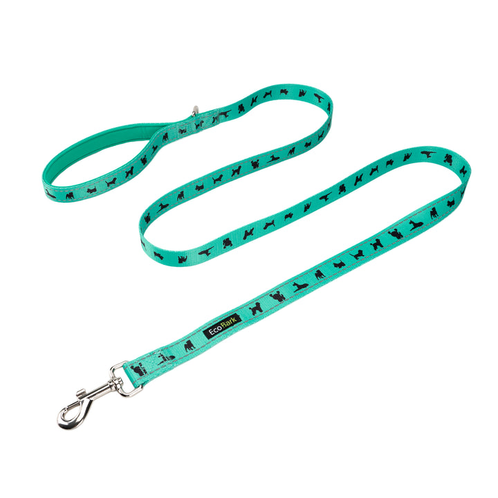 EcoBark Mint Turquoise Dog Leash - Comfort Grip Padded Leash - 4ft, 5ft, and 6ft Dog Leash for Small and Medium Dogs