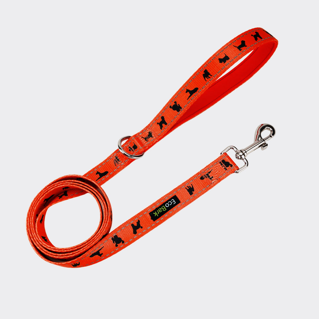 EcoBark Safety Orange Dog Leash- Padded Comfort Grip Leash with Dog Pattern - 4ft, 5ft, and 6ft Leash for Small and Medium Dogs