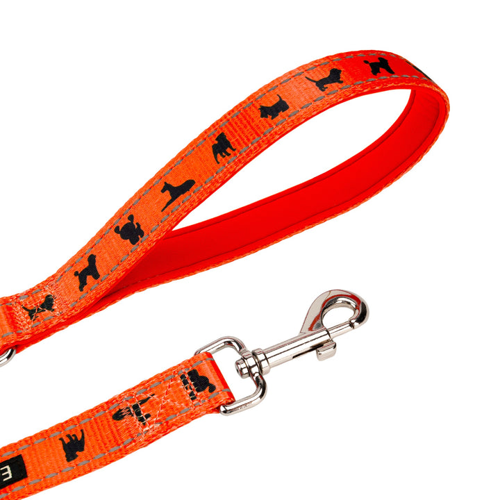 EcoBark Safety Orange Dog Leash- Padded Comfort Grip Leash with Dog Pattern - 4ft, 5ft, and 6ft Leash for Small and Medium Dogs