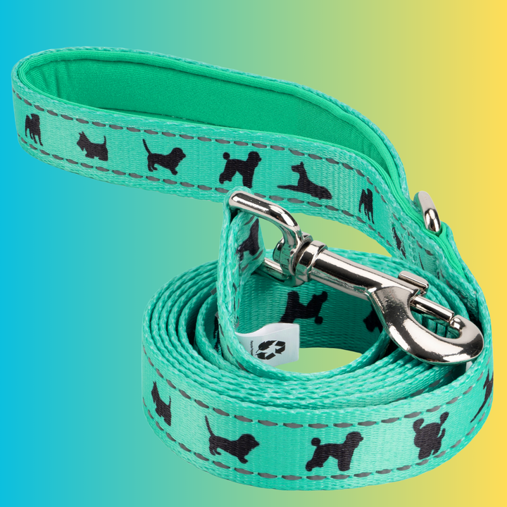 EcoBark Mint Turquoise Dog Leash - Comfort Grip Padded Leash - 4ft, 5ft, and 6ft Dog Leash for Small and Medium Dogs