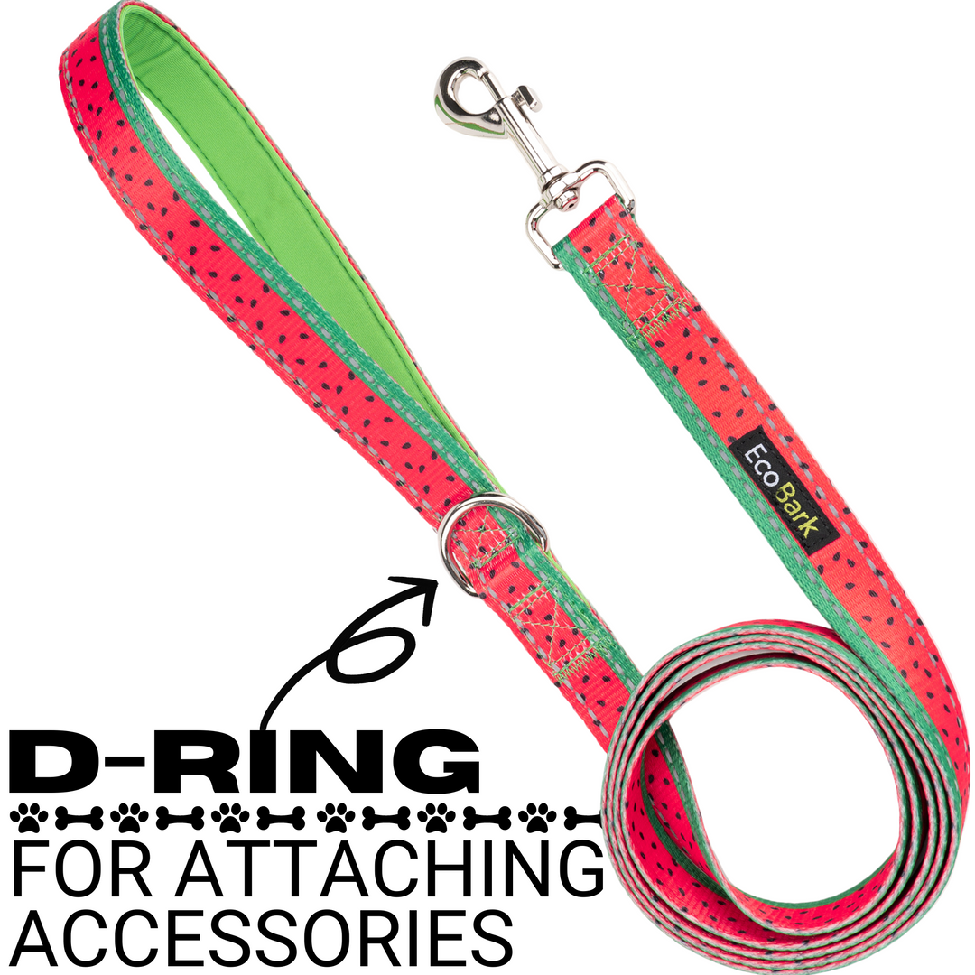 EcoBark Watermelon Dog Leash- Padded Comfort Grip Leash - 4ft, 5ft, and 6ft Leash for Small and Medium Dogs