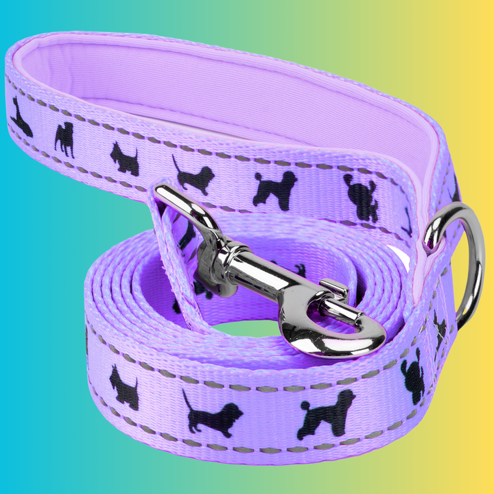 EcoBark Lavender Dog Leash - Comfort Grip Padded Leash - 4ft, 5ft, and 6ft for Small and Medium Dogs